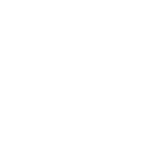 CHAOS Logo